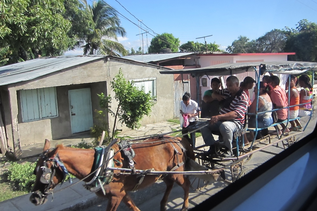 horse-buggy-transport